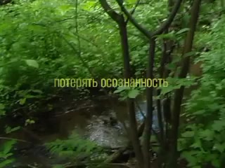 @фантасмагория