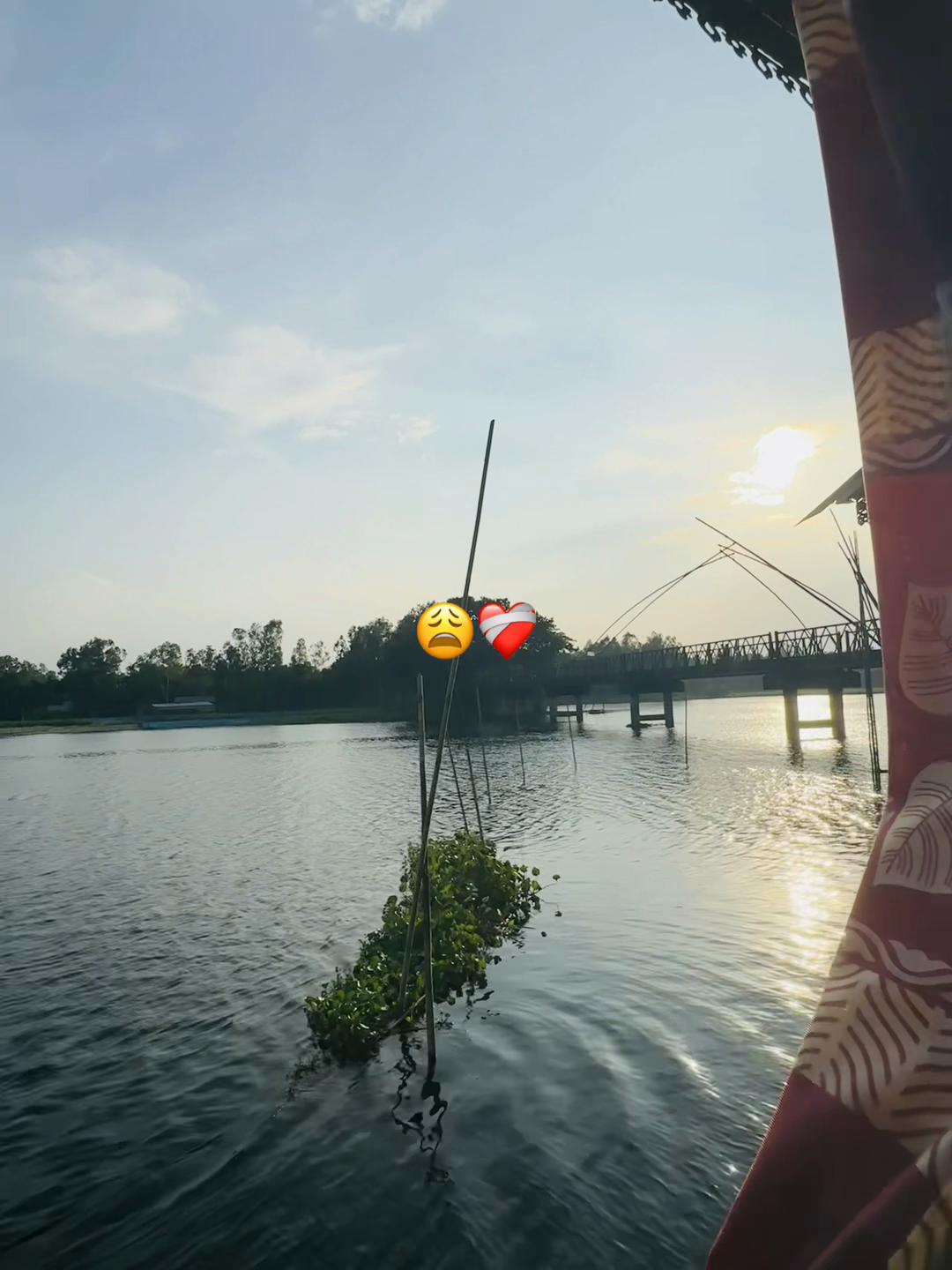 @🕊️