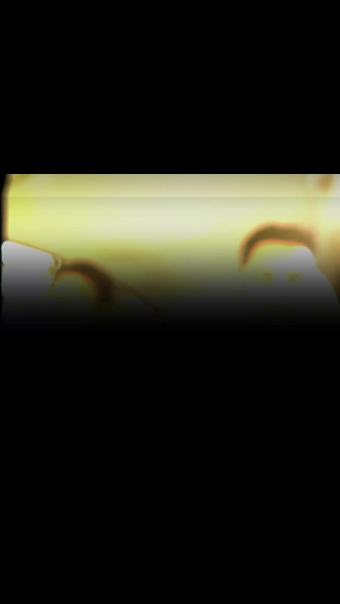 @💥 𝓐𝓵𝓲𝓗𝓪𝓲𝓭𝓮𝓻 💥