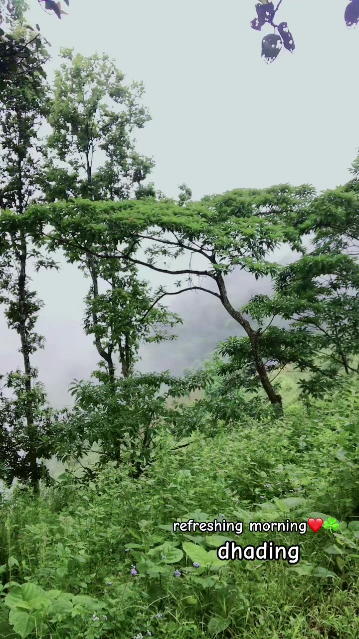 @Bindra Manandhar