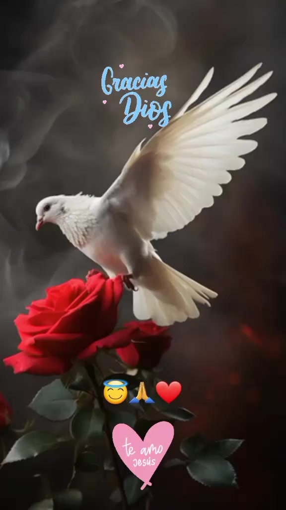 @𑁍〪〫⃕͜ൣ᭄⍣ွဳ⃟ꦼ🌹ɳσɾɱเtå🌹⍣ွဳ⃟ꦼ