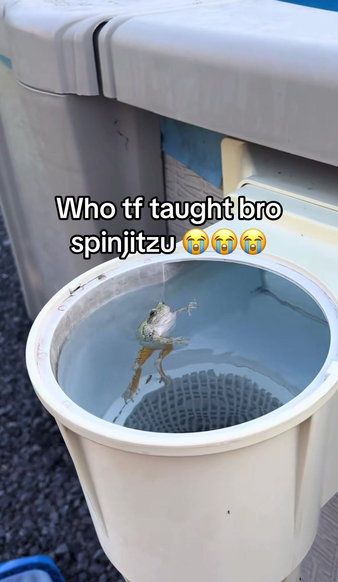 @Hxbitz