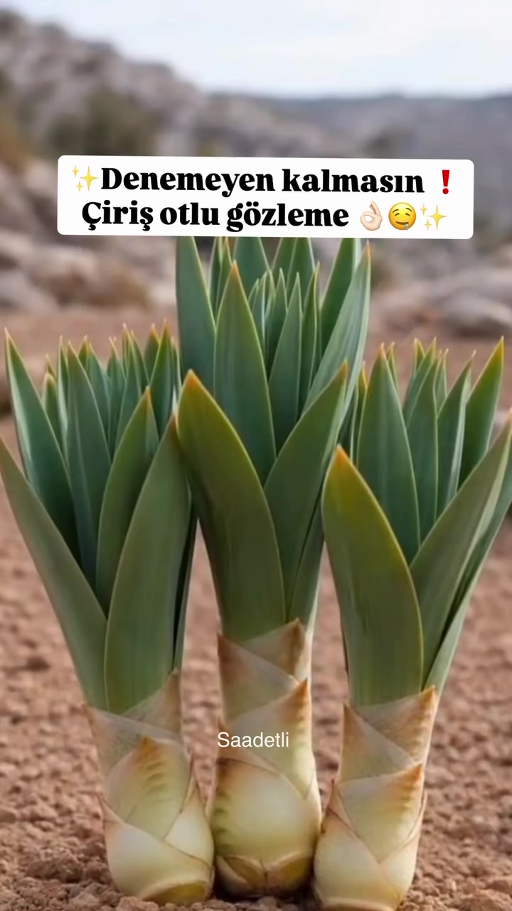 @saadetli_mutfak_