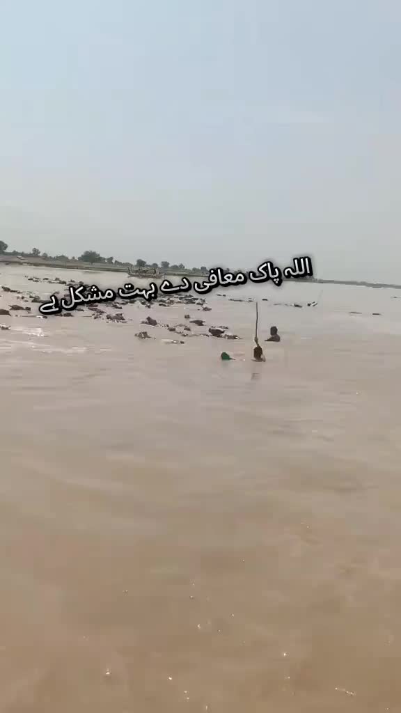 @Baba Shughli 👑 بابا شغلی