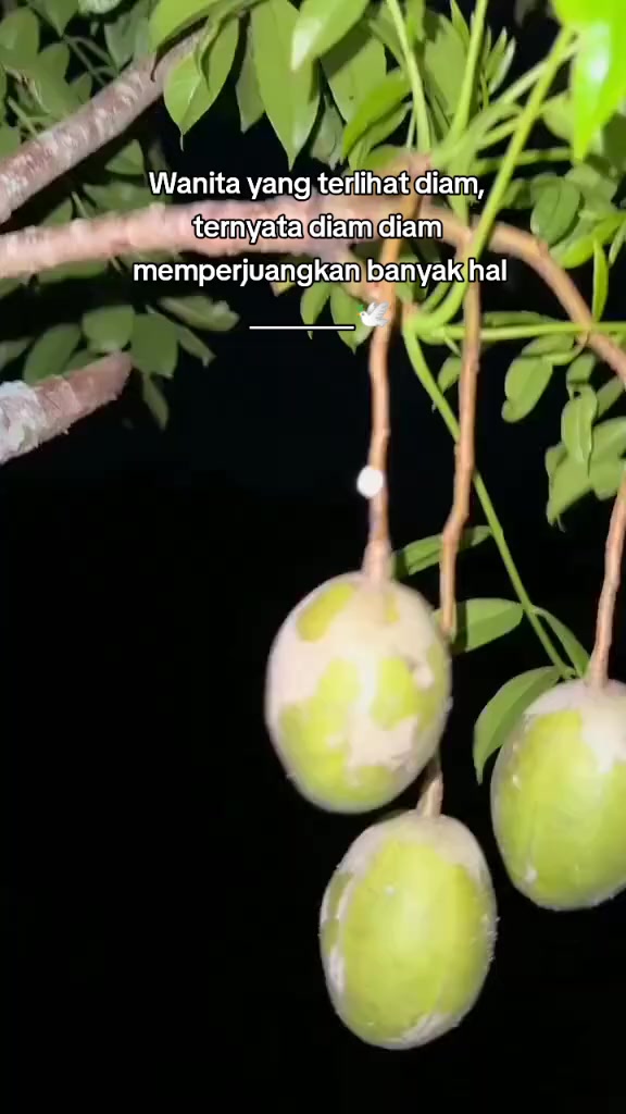 @_ 𝓙𝓪𝓬𝓴  Banten 🔥