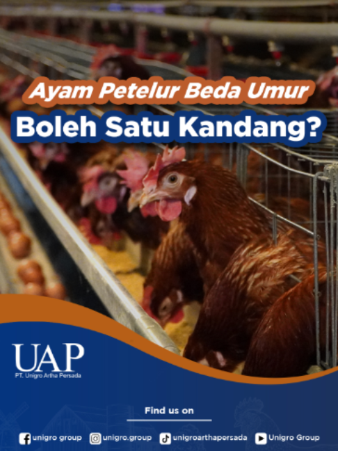 @Unigro Artha Persada Store