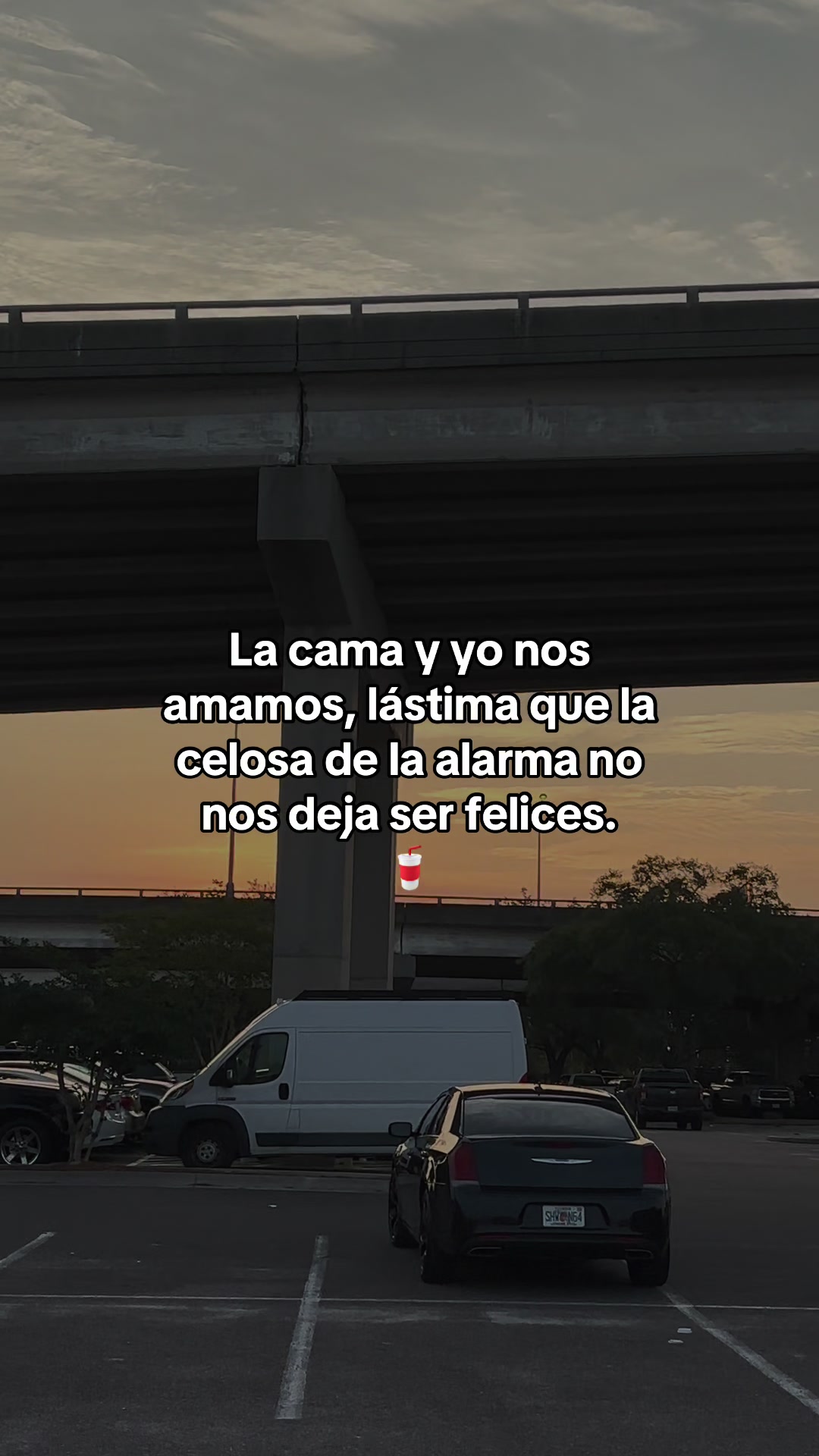 @️ NELFI__V❤️🩹)”