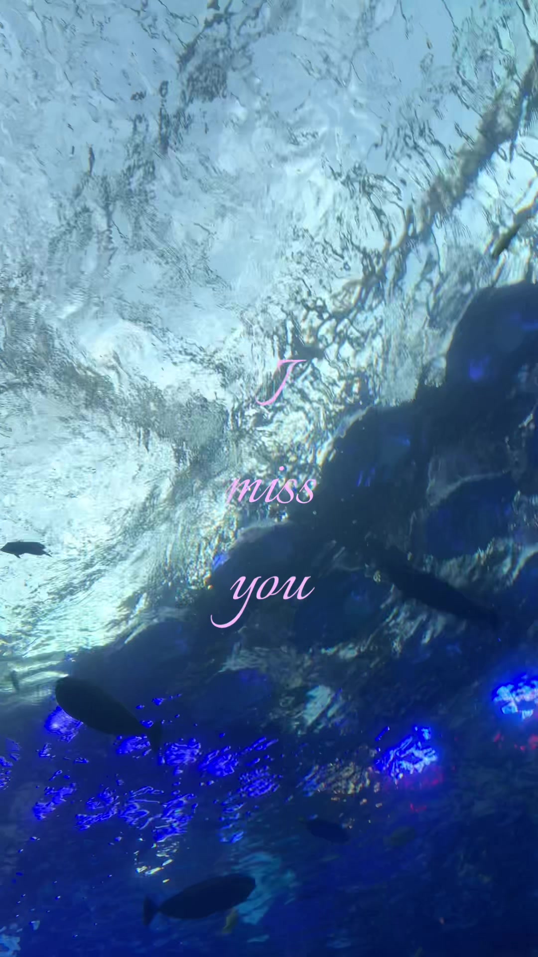 @TT 🍓