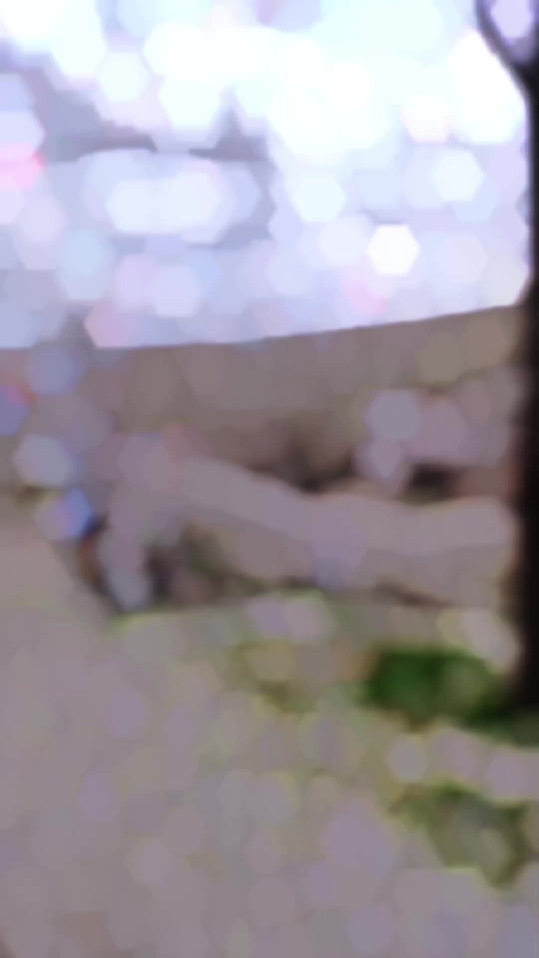 @༺✧☾⋆Denizder ☾⋆✧༻