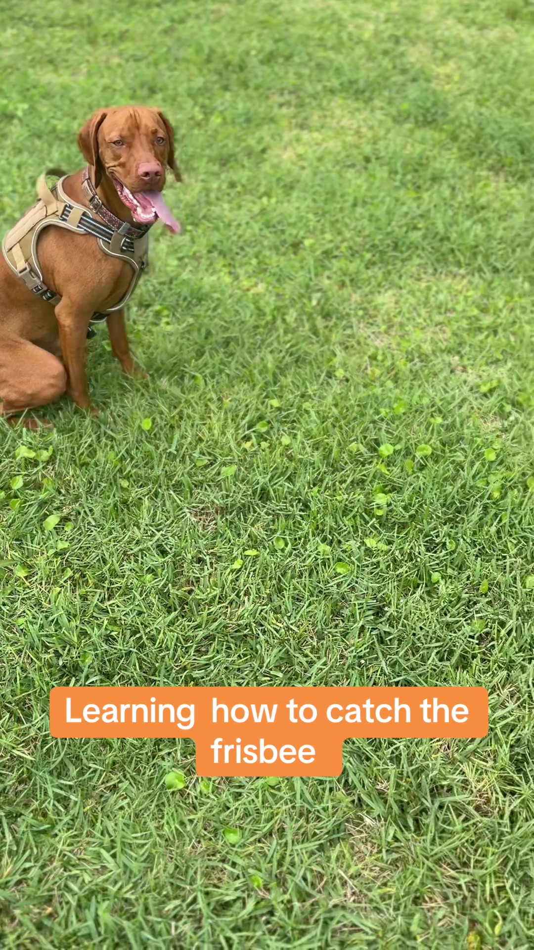@Mater