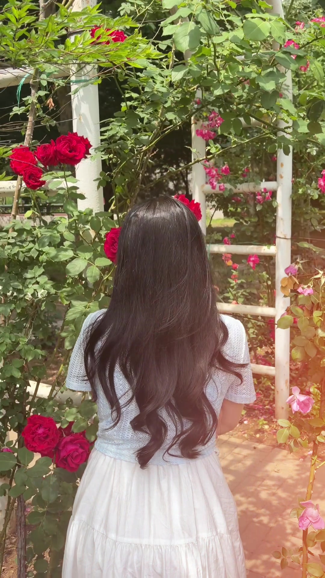 @P"🦋"Z(^。^)