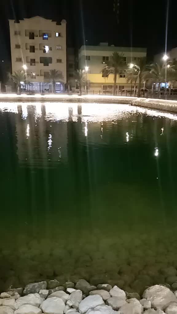 @حکیم ملک سبطین🇧🇭