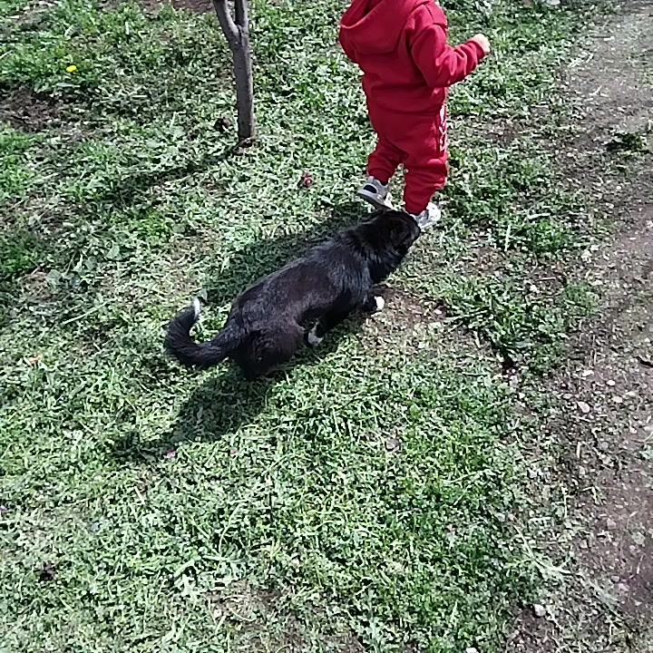 @ŞHAMKİRLİ🧸