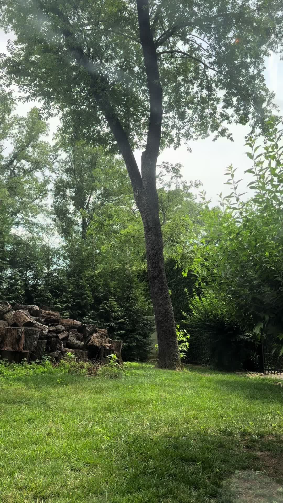@𝐿𝒾𝓈𝒶𝓃𝓃𝑒