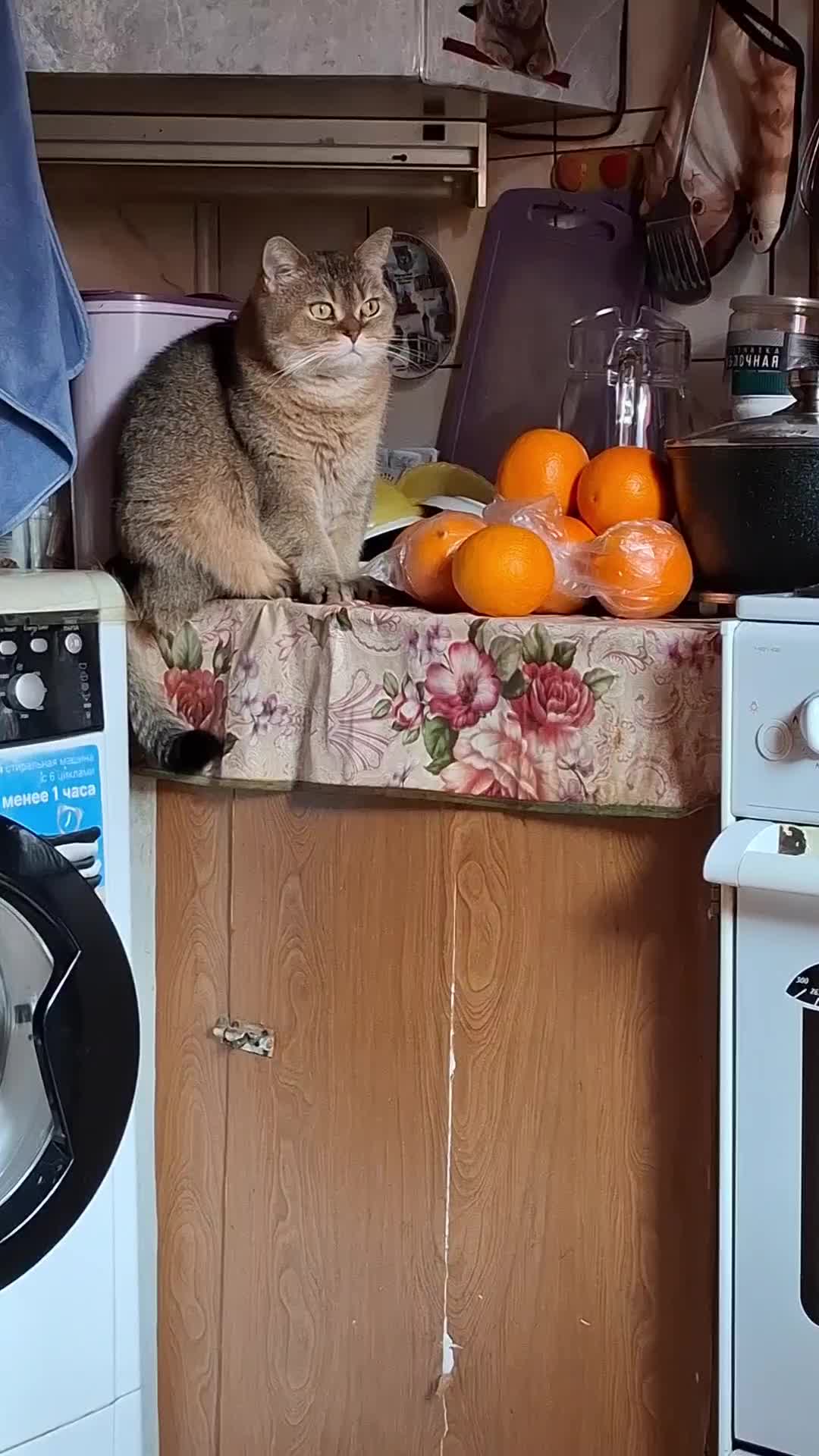 @Жанночка