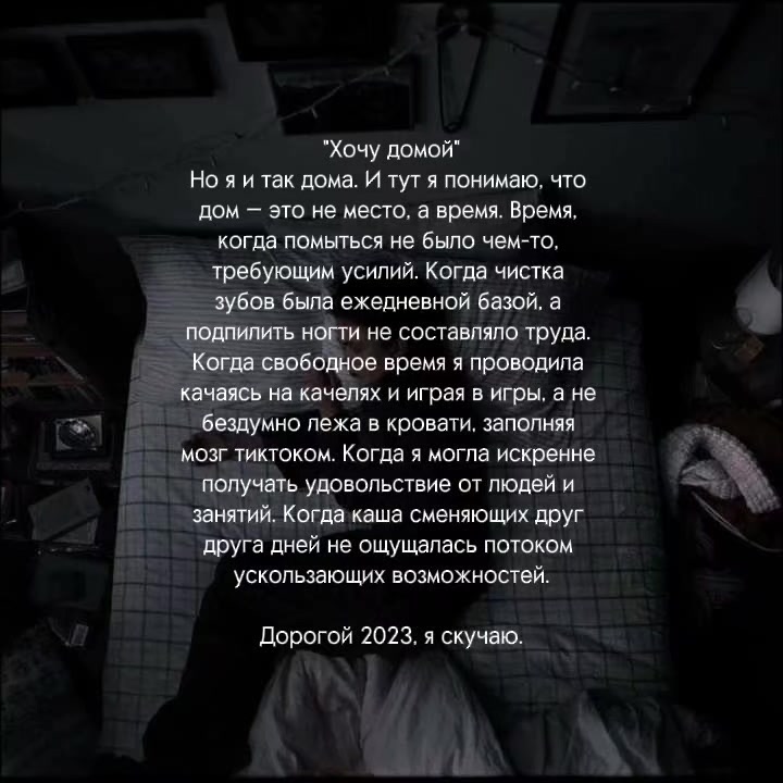 @шишка [🦑🐇]