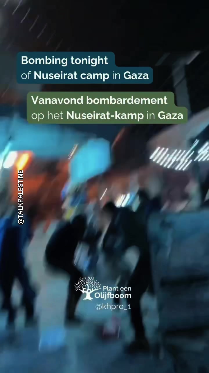 @talkpalestine00