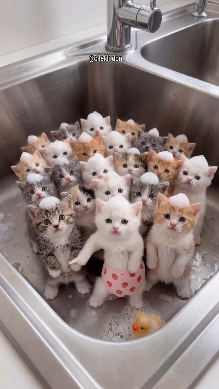 @keke_ecom