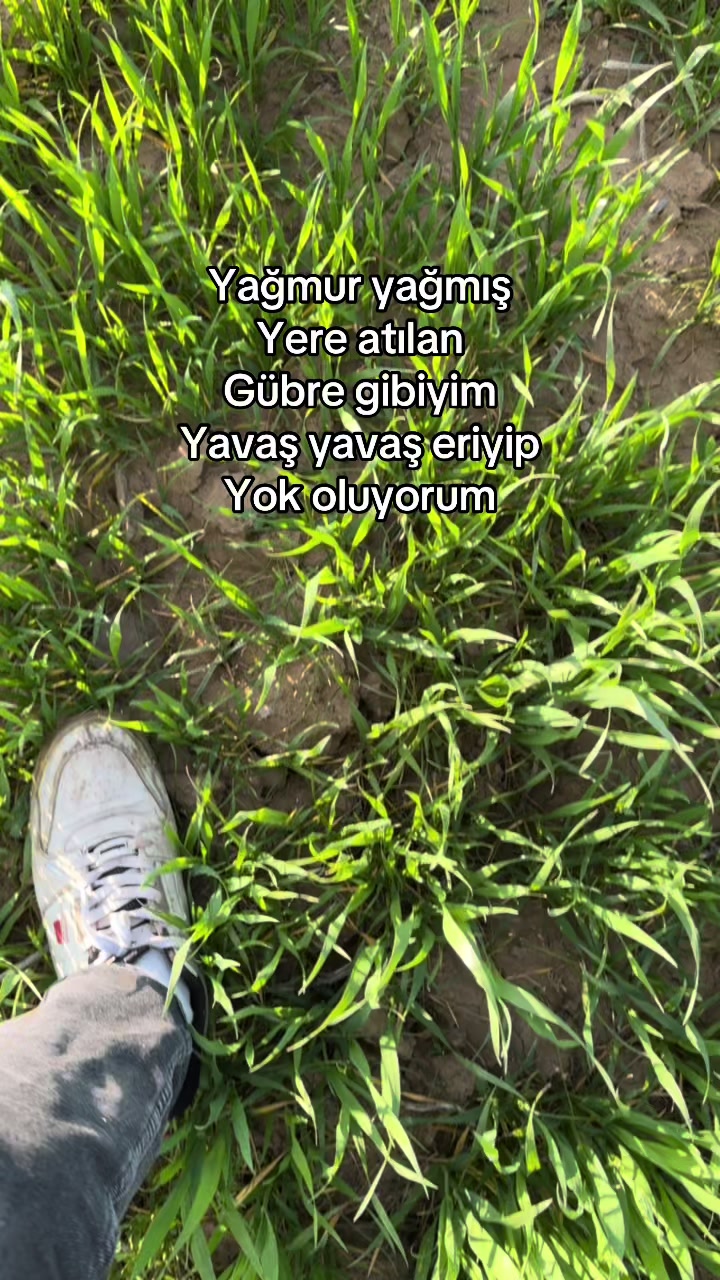 @𝓒𝓪𝓷_𝓪𝓿𝓿