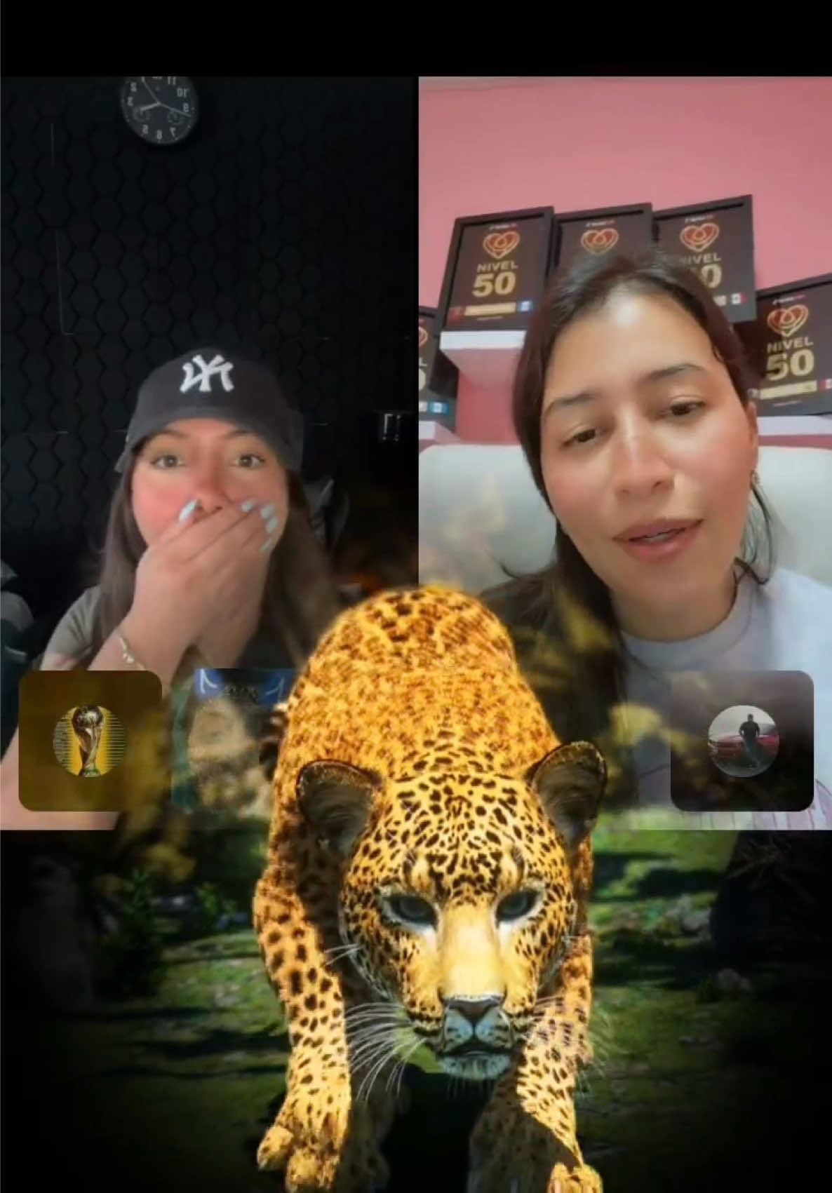 @๐๐ฆ๐ฃ๐๐๐ท