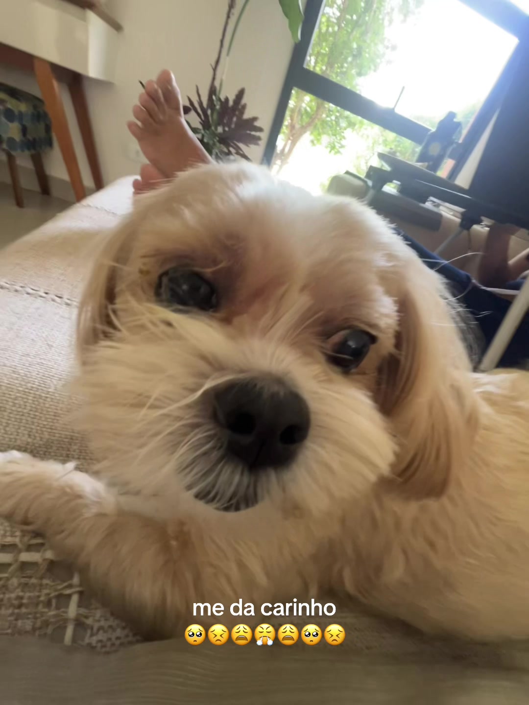 @Julia Mello