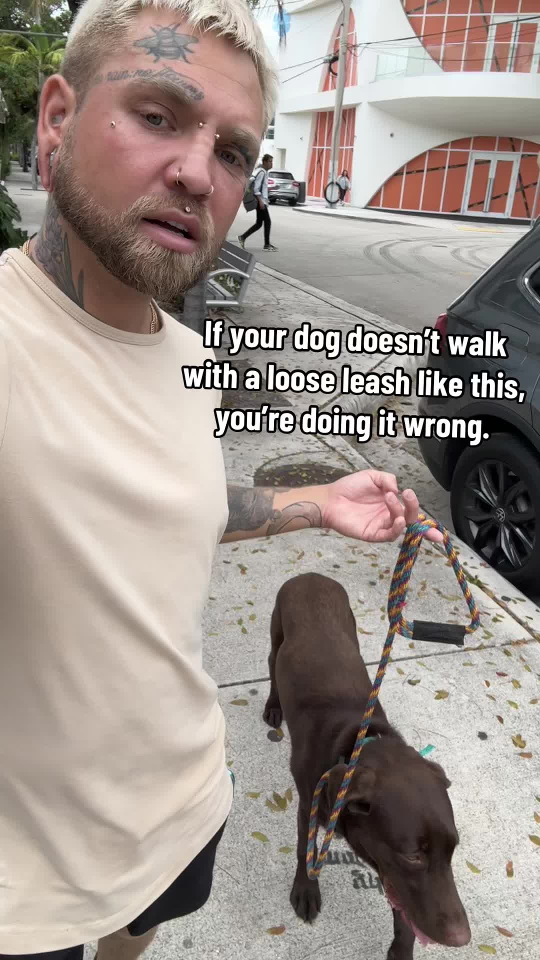 @balancedcanineacademy