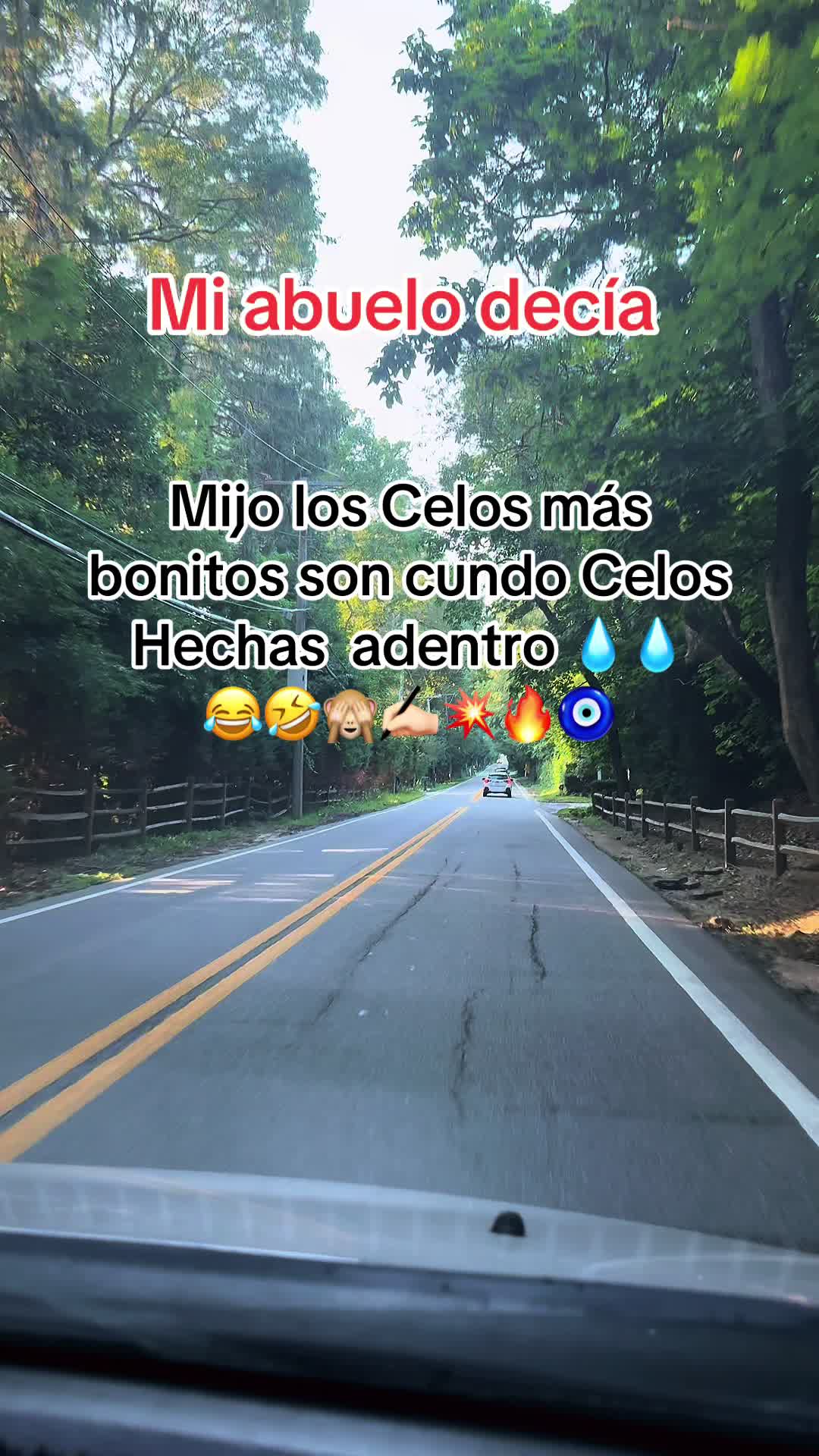 @🇲🇽Un poblano en ny 🇺🇸🗽☘️