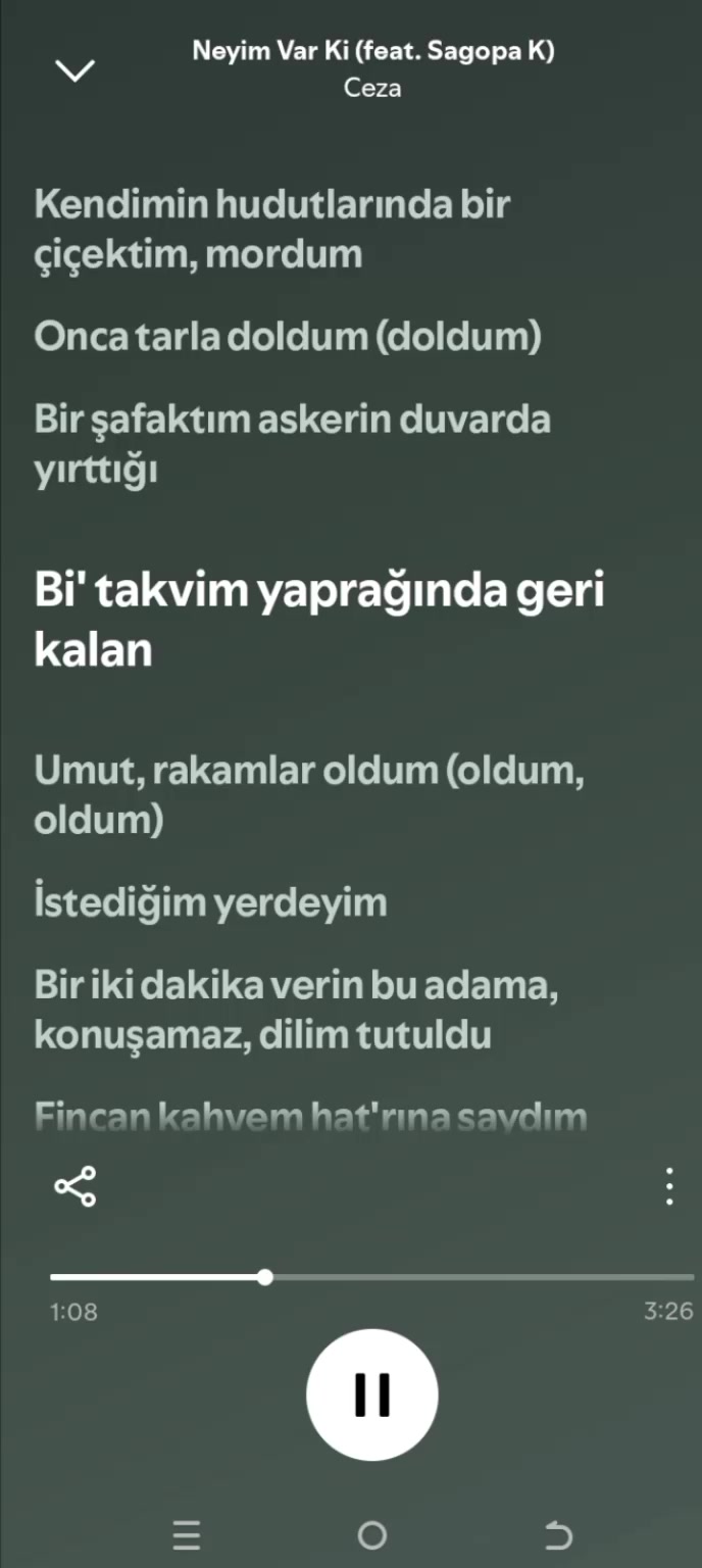 @pro müzik