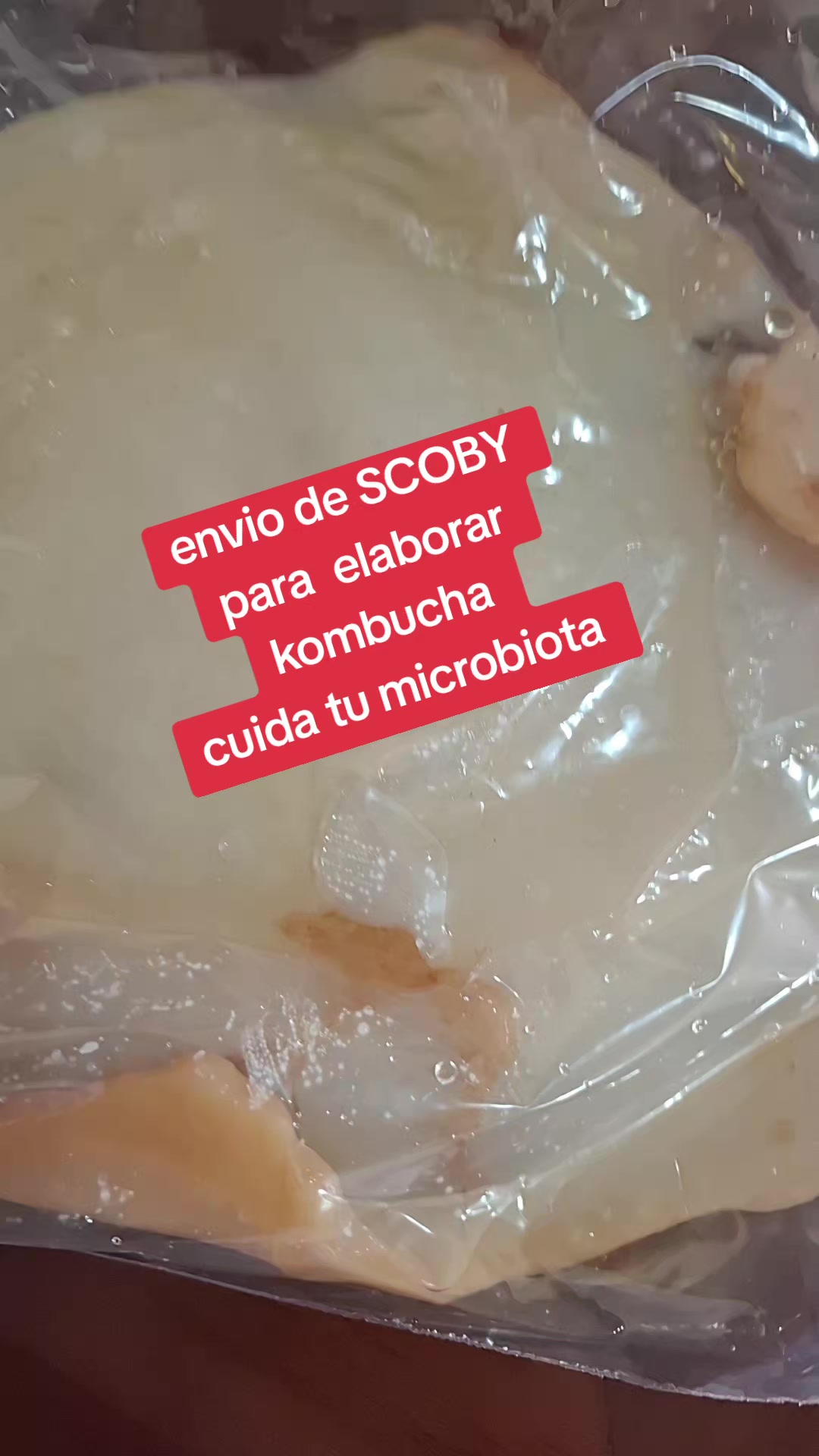 @Rocío silva