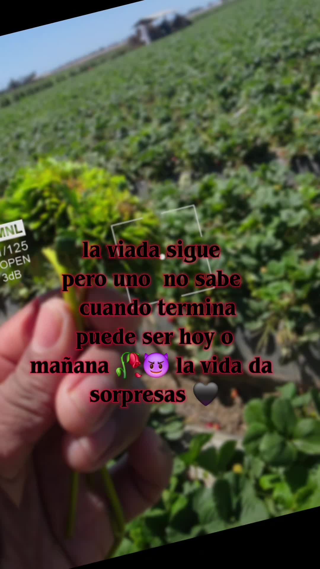 @E L  P A R C E