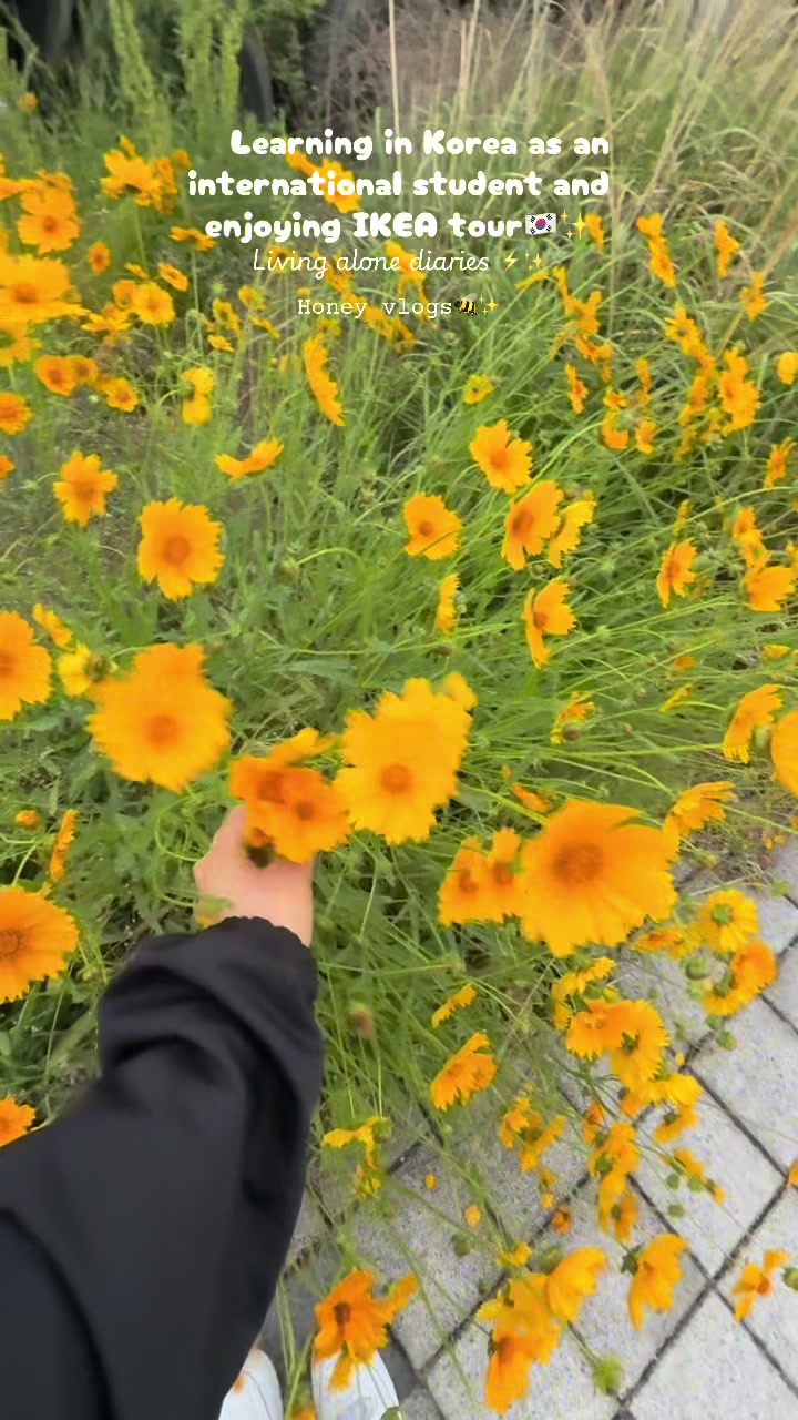@Honey Vlogs🍯🐝