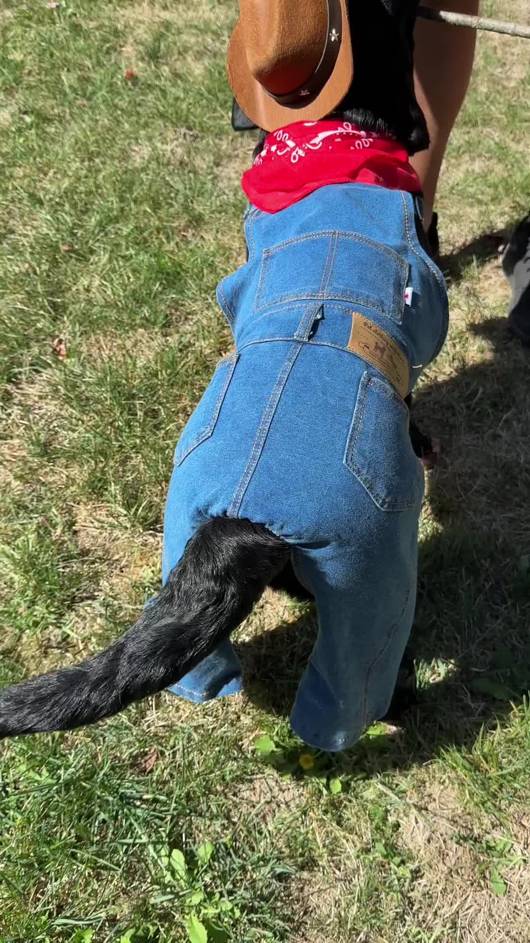 @DennisTheBlackLab