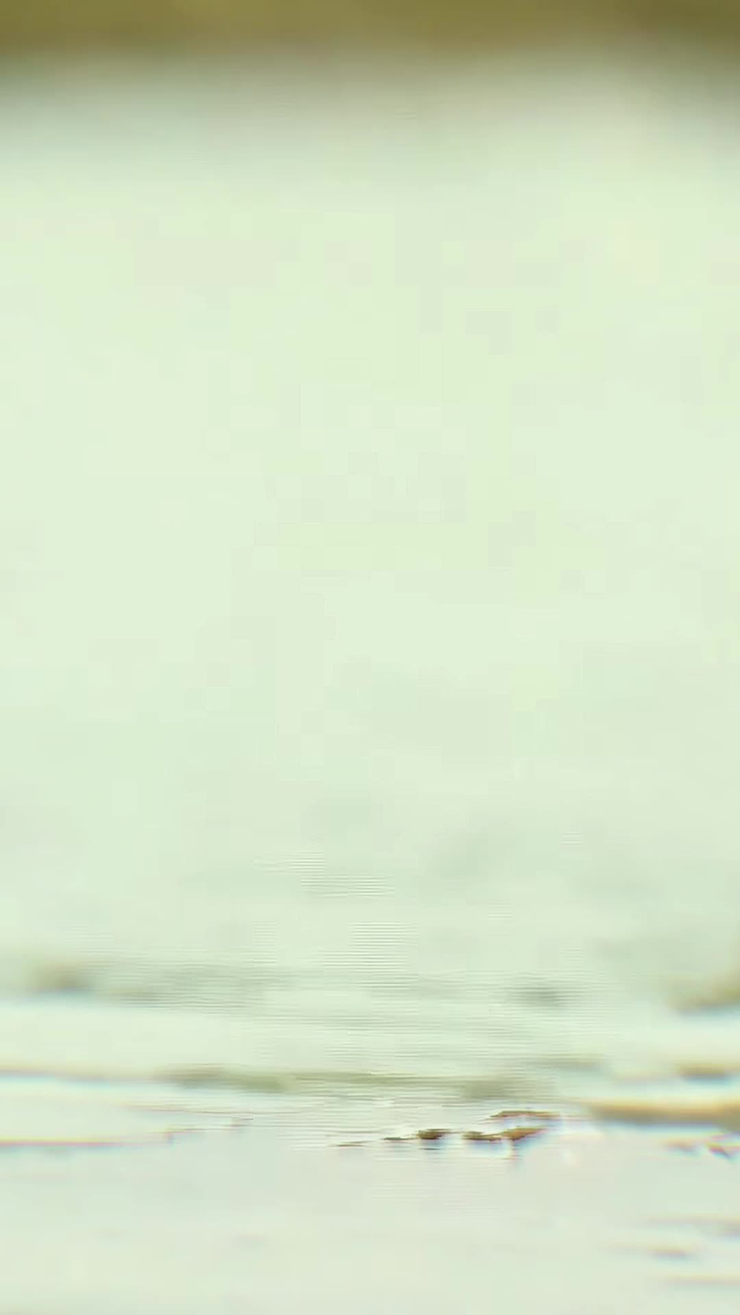 @🇻 🇯 🇸 🇭 🇦 🇳 𝟮 . 𝟬