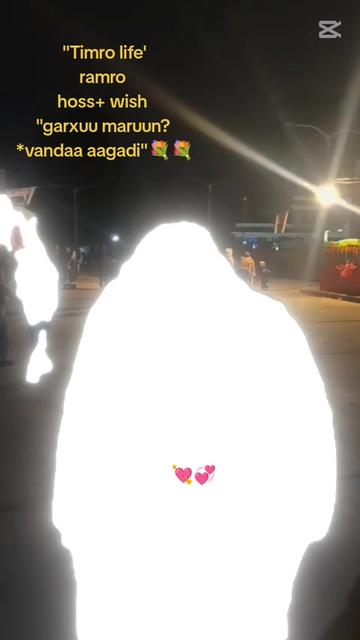 @__suraj__