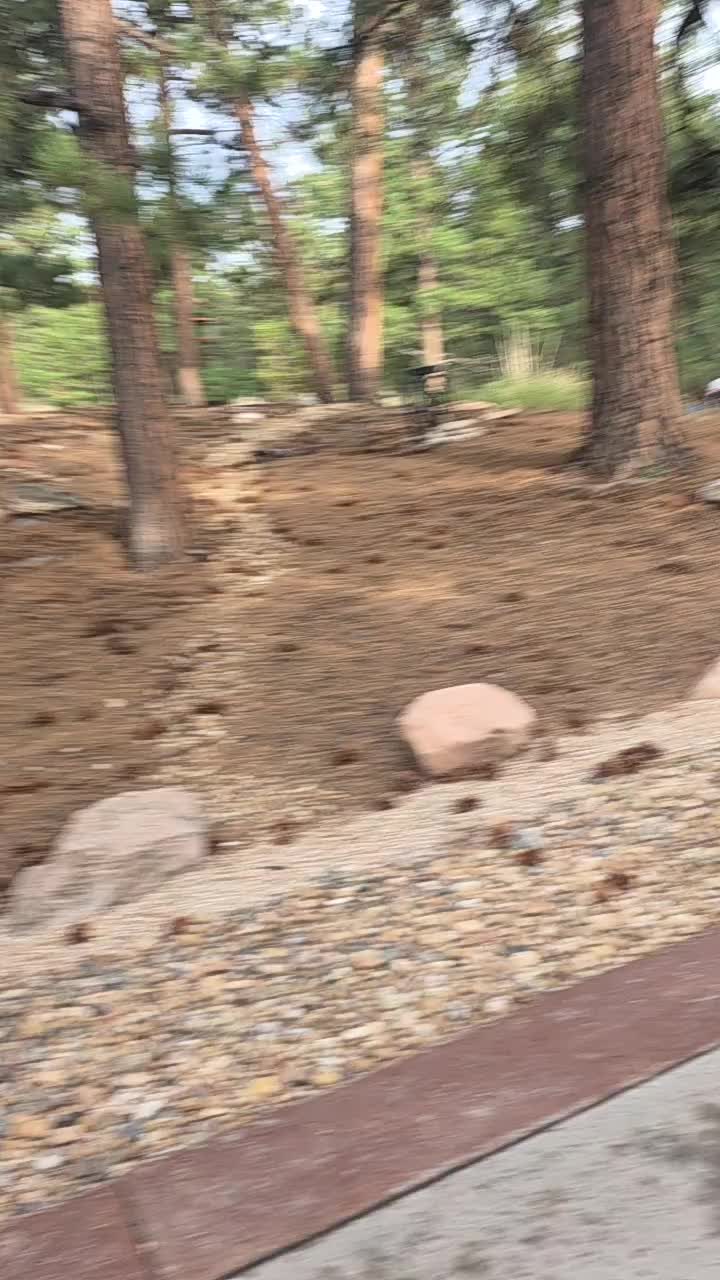 @mini Rios 86