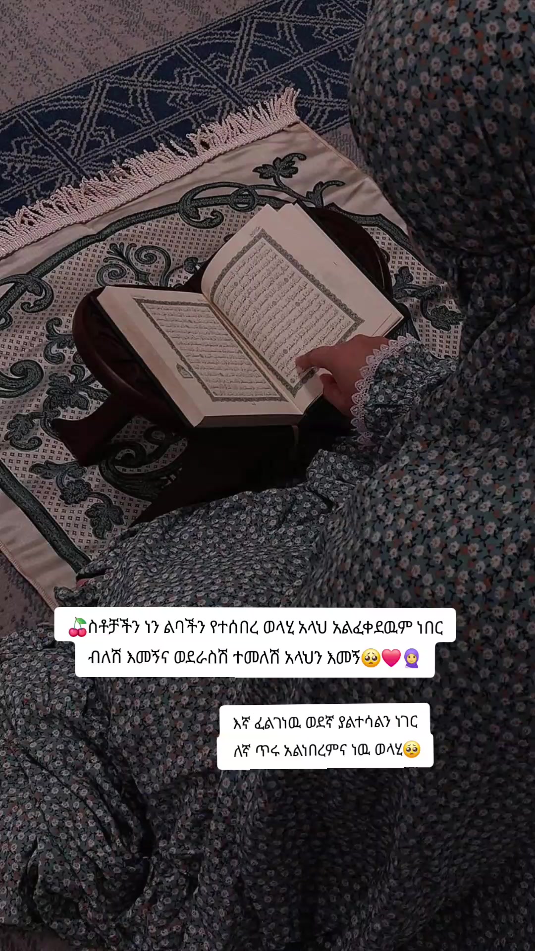 @🎧𝕫𝕦𝕫𝕦 .𝙦𝕦𝕖𝕖𝕟🦋