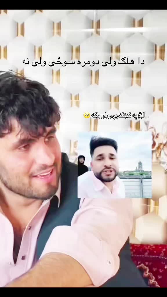 @shinwari