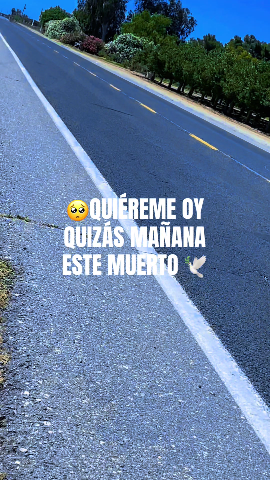 @Kristel^Hernandez❤️🌹💕B🥰