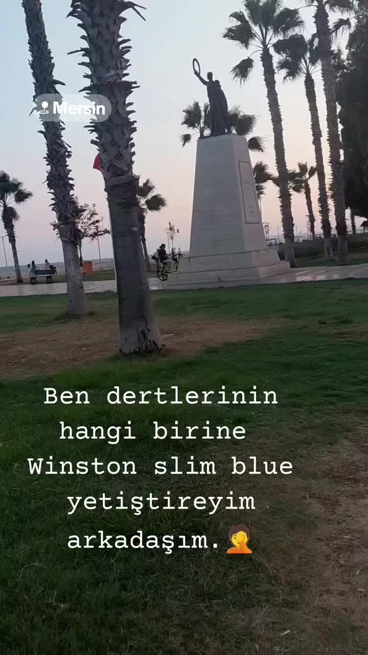 @tc.çerkeskızı