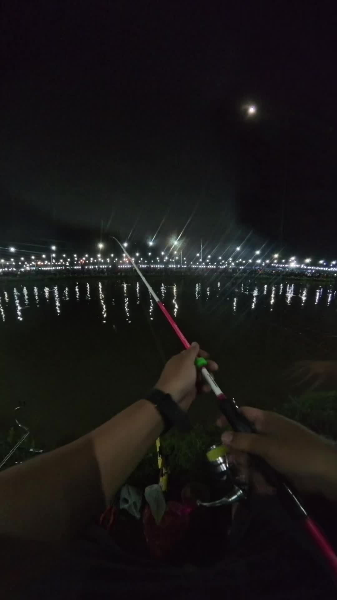 @TINY TACKLES FISHING