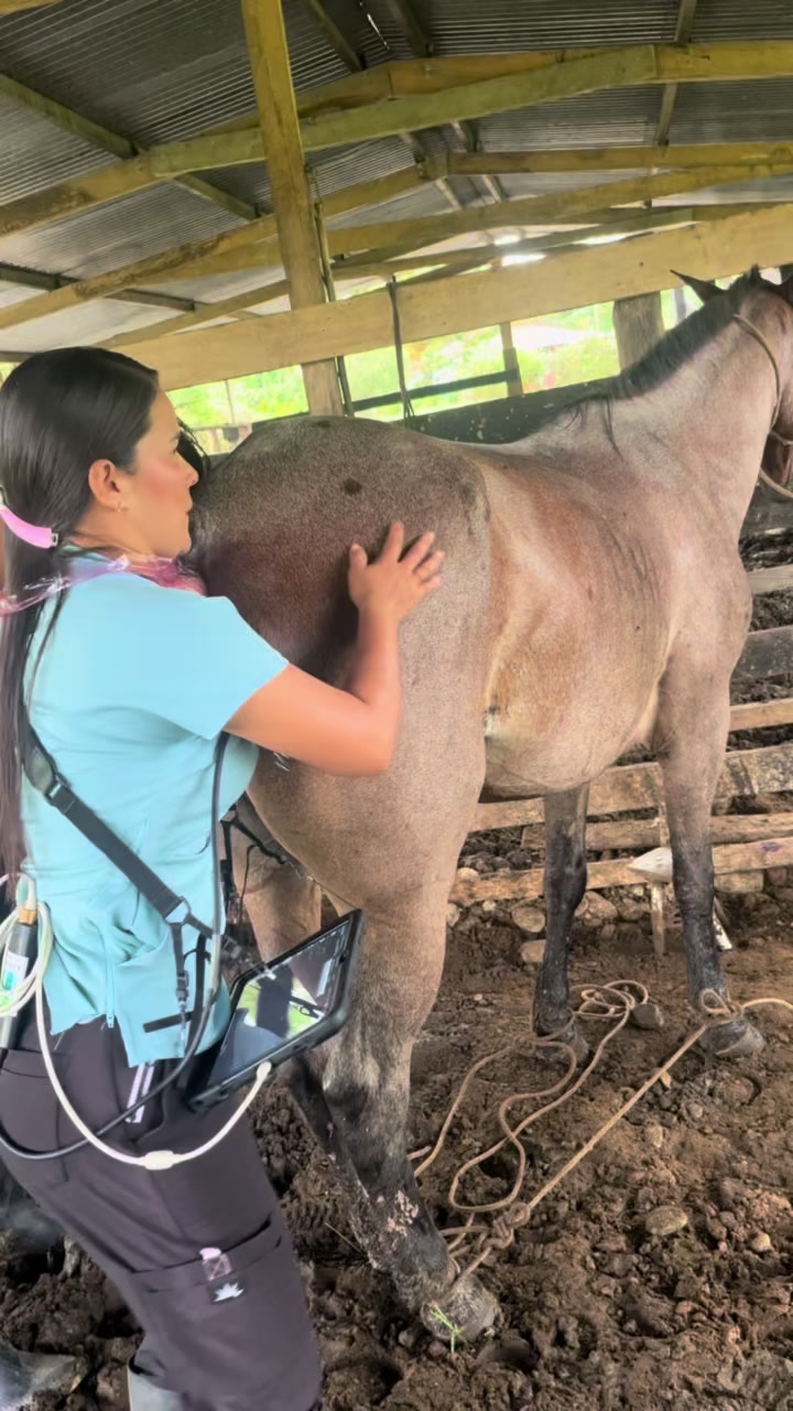 @Dra. Jessica Casas 👩🏻&zwj;⚕️🐴