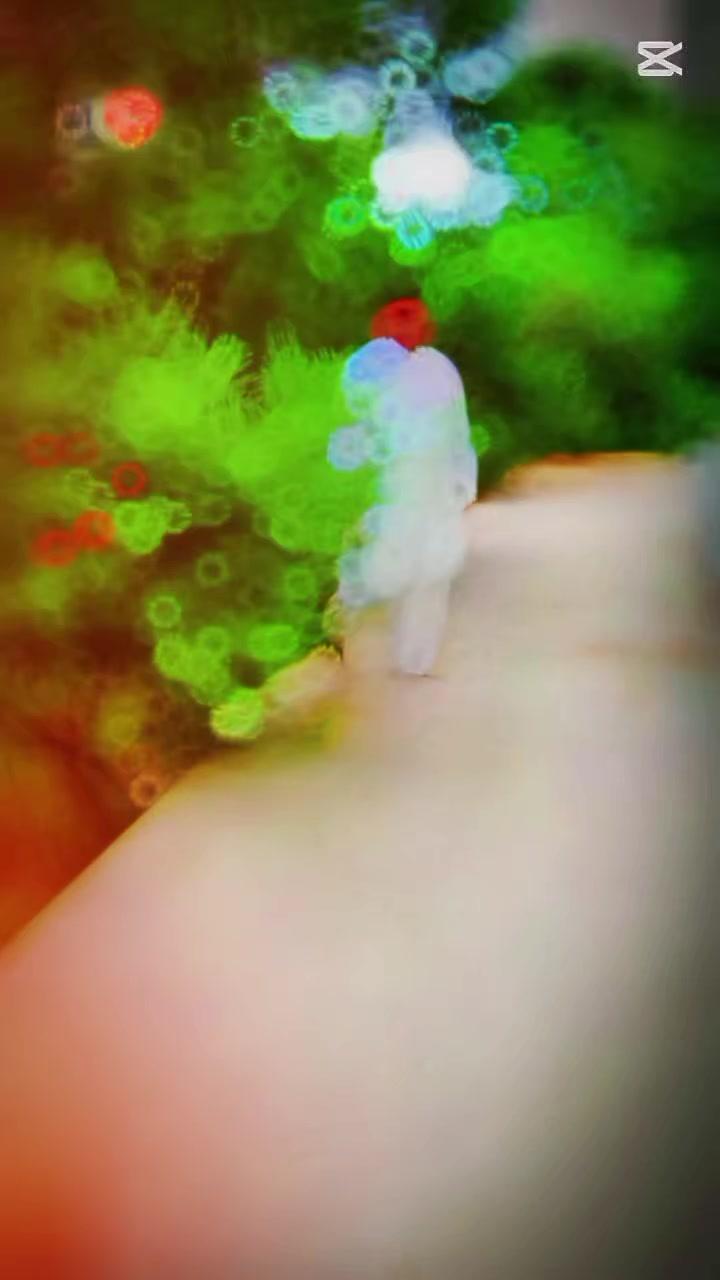 @/-\/\/\💐🌷💐