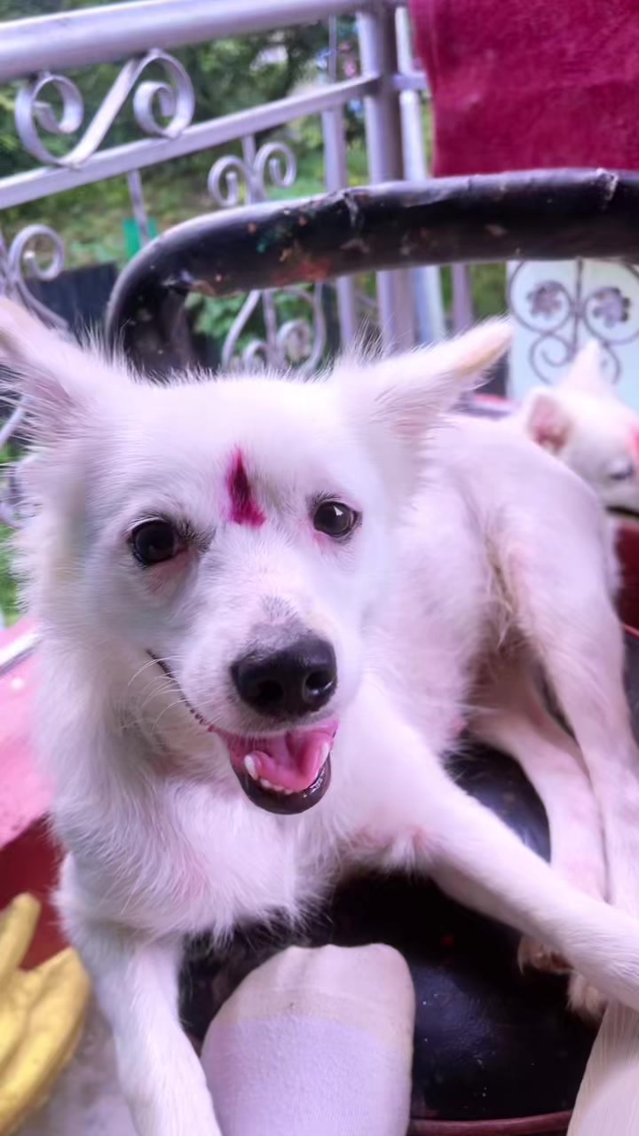 @🧿Mayara pukuli🐕🧿