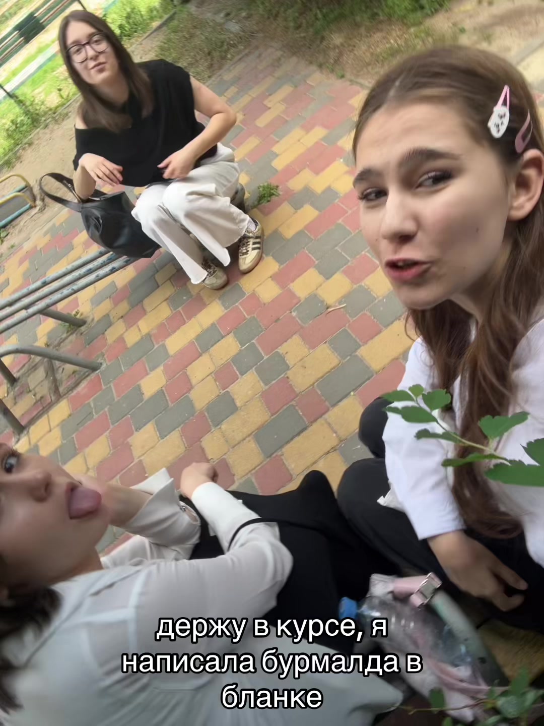 @маша еж