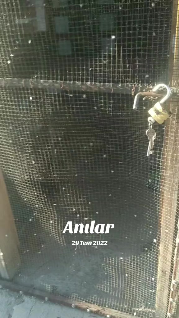 @Y&uuml;ksel muhabbet kuşu