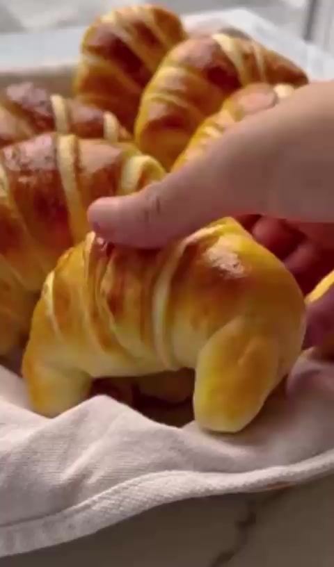 @torty_ot_jibeka