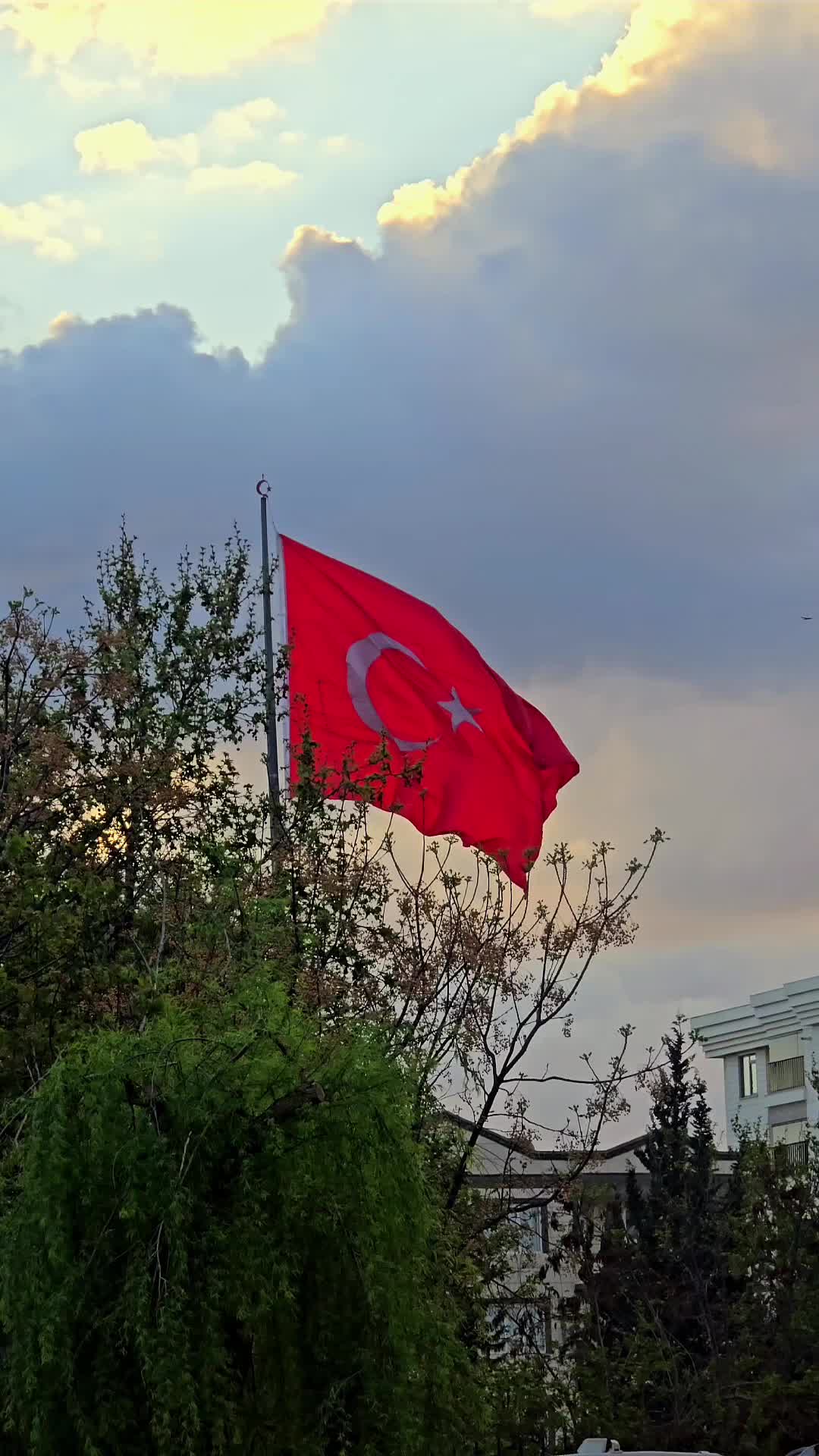 @İsmail Demir ⚡️