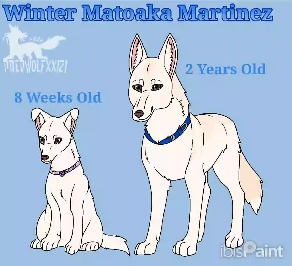 @Minerva Martinez