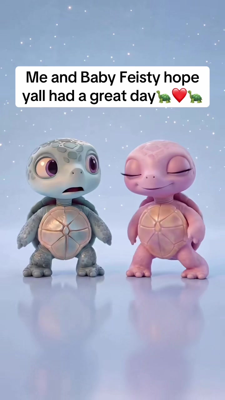 @tokinturtle.tm