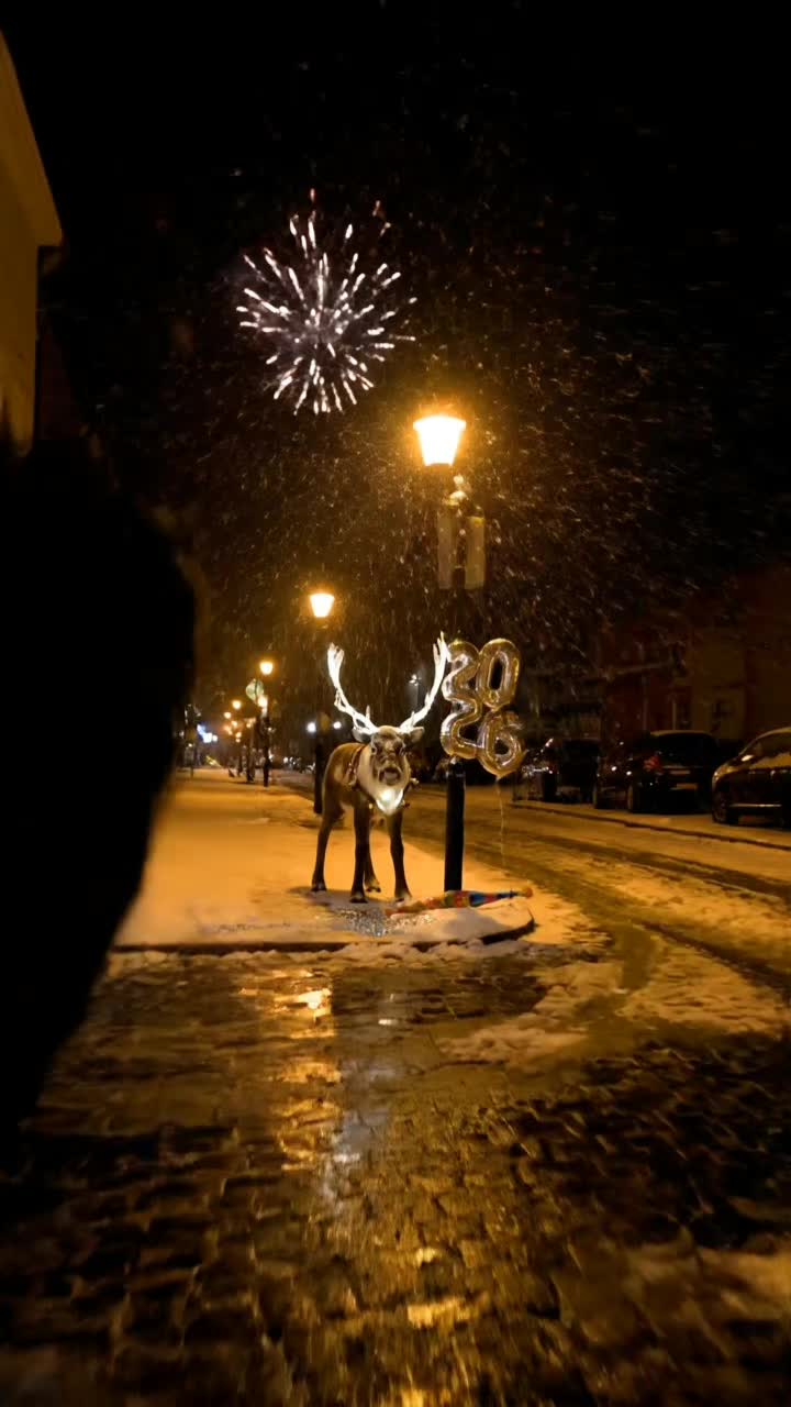 @Christmas around US ๐บ๐ธ
